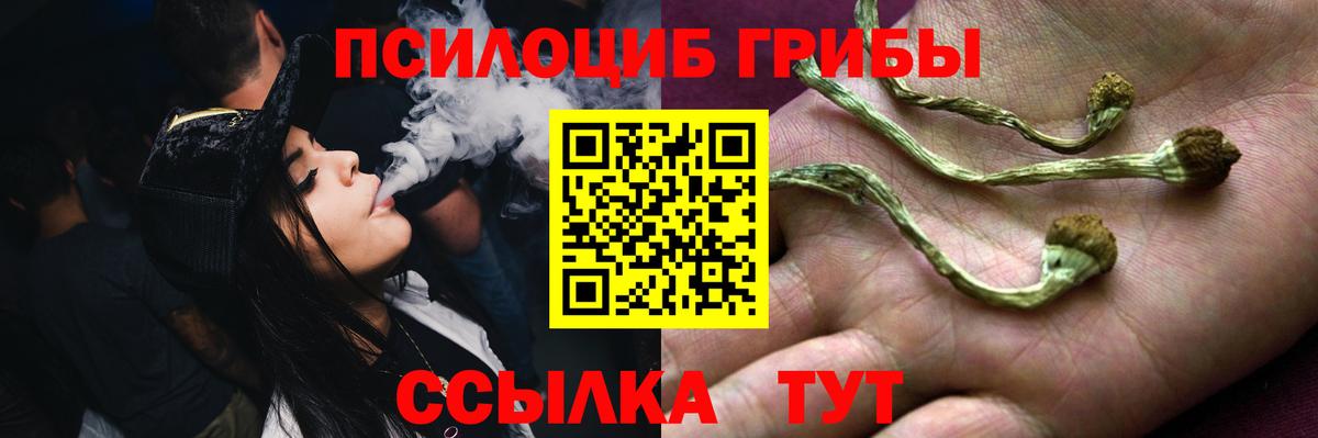 Галлюциногенные грибы прущие грибы Апатиты